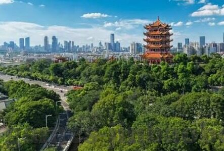 竞足球探比分-竞足球探比分，一场数据与激情的碰撞之旅